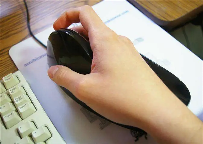 Quill mouse (AirObic mouse, Aerobic mouse) in use by reviewer - ergonomic mouse